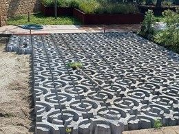 CELOSIA COLOCACIÓN